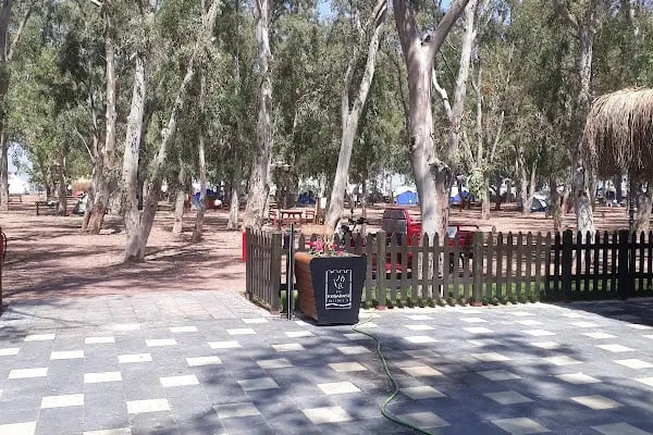 Davutlar Gençlik Karavan ve Çadır Kampı - Resim 12