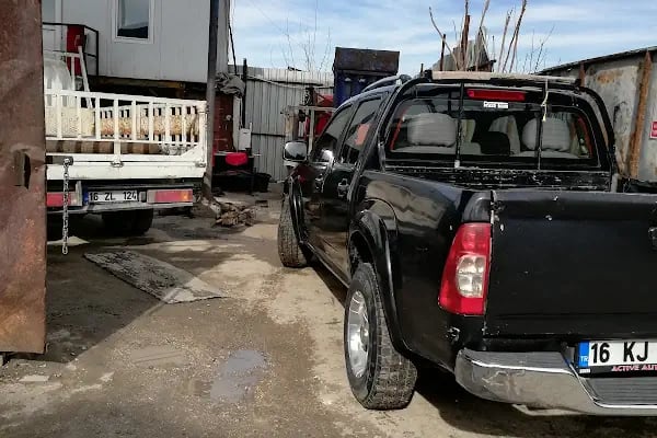 Dentaura ağız ve diş sağlığı polikliniği - Resim 8