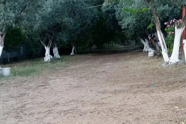 Küçübük İpek Kamp ve Piknik Alanı - Resim 3