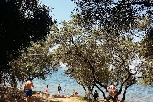 Küçübük İpek Kamp ve Piknik Alanı - Resim 11