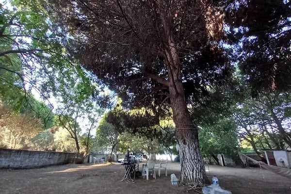 Küçübük İpek Kamp ve Piknik Alanı - Resim 14