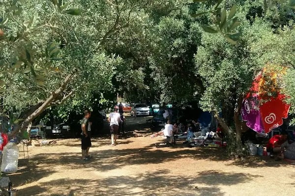 Küçübük İpek Kamp ve Piknik Alanı - Resim 9
