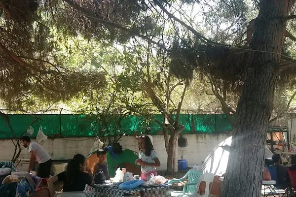 Küçübük İpek Kamp ve Piknik Alanı - Resim 10