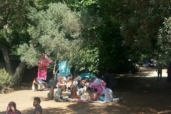 Küçübük İpek Kamp ve Piknik Alanı - Resim 6