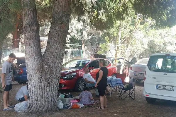 Küçübük İpek Kamp ve Piknik Alanı - Resim 5