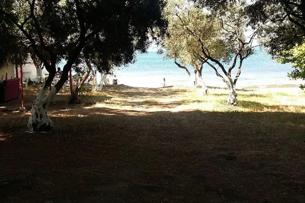 Küçübük İpek Kamp ve Piknik Alanı - Resim 12