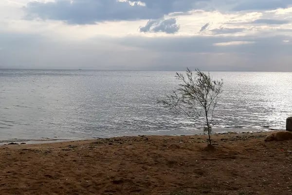 Küçübük İpek Kamp ve Piknik Alanı - Resim 18