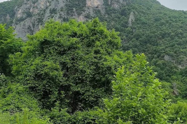 Oylat Şelalesi Doğa Yürüyüş Parkuru - Resim 12