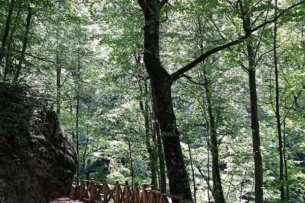 Oylat Şelalesi Doğa Yürüyüş Parkuru - Resim 13