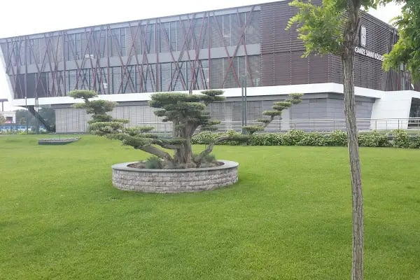 Manisa Organize Sanayi Bölge Müdürlüğü - Resim 14