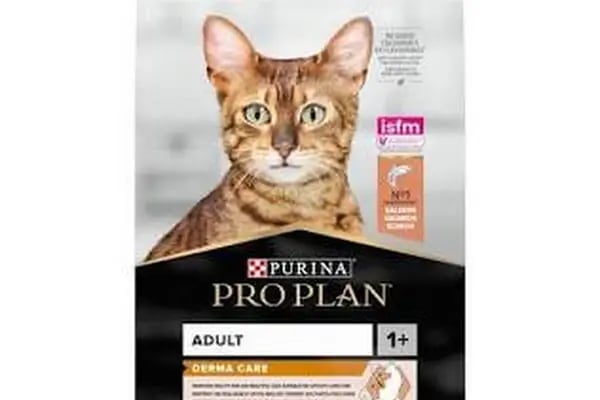 GÜLMİRZA PETSHOP - Resim 10