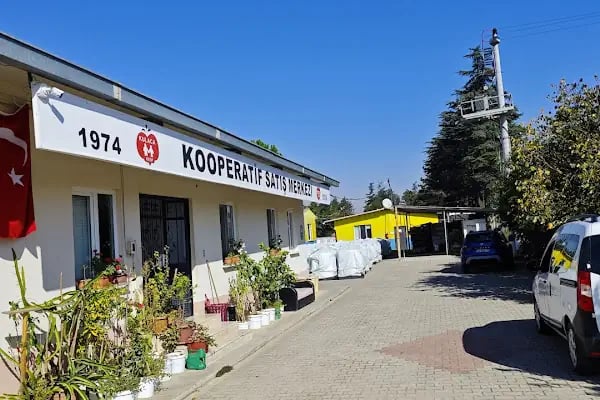Kulaca Salça - Resim 17
