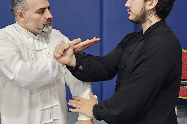 Avcılar Wing tsun - Resim 4