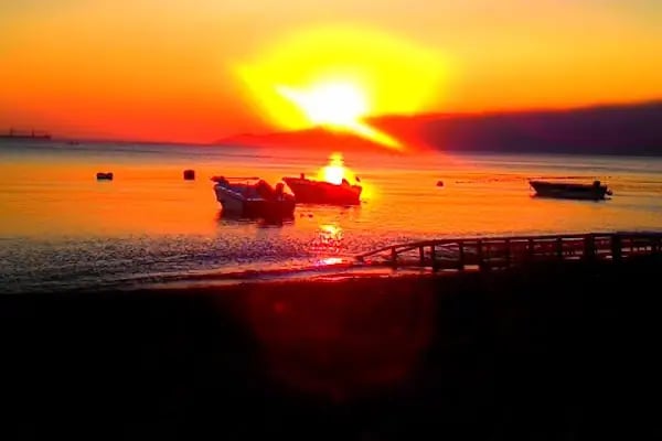 Avukat &amp; Arabulucu Simge Kayabaş Bursa|Gemlik - Resim 12
