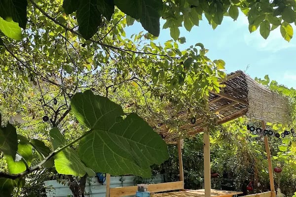 Saklı Bahçe - Resim 10