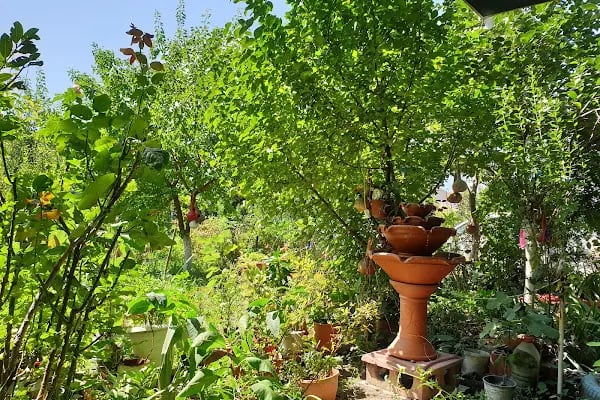Saklı Bahçe - Resim 6