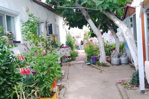 Saklı Bahçe - Resim 5