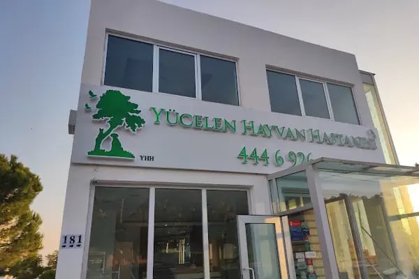 Bodrum Yücelen Hayvan Hastanesi - Resim 4