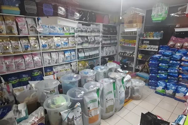 Nusret petshop - Resim 7