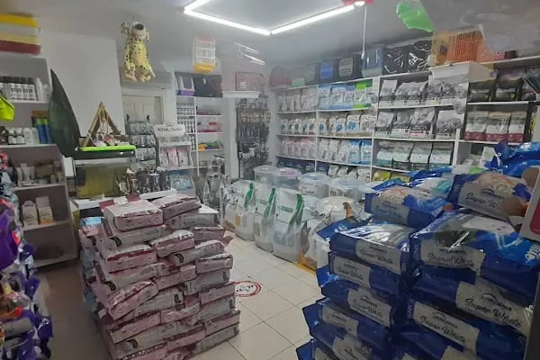 Nusret petshop - Resim 10
