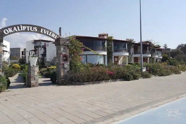 Okalüptus Evleri - Resim 10