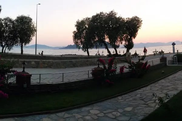 Okalüptus Evleri - Resim 6