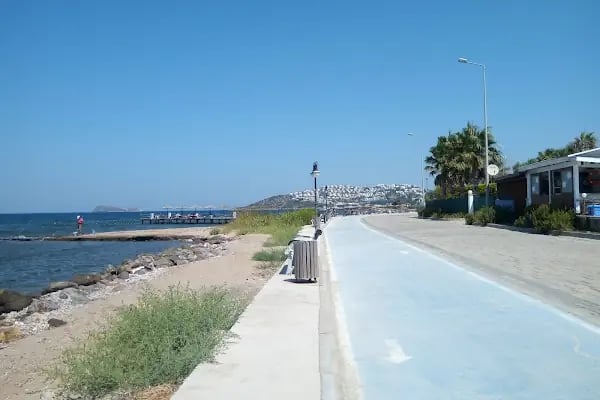 Okalüptus Evleri - Resim 19