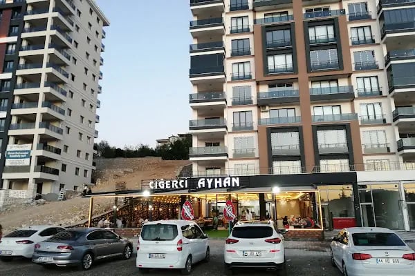 TECDE ŞELALESİ - Resim 4