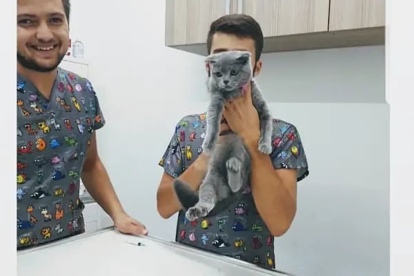 Acar veteriner kliniği - Resim 13
