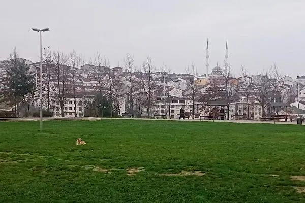 Acar Airport Smart Hotel - Resim 15