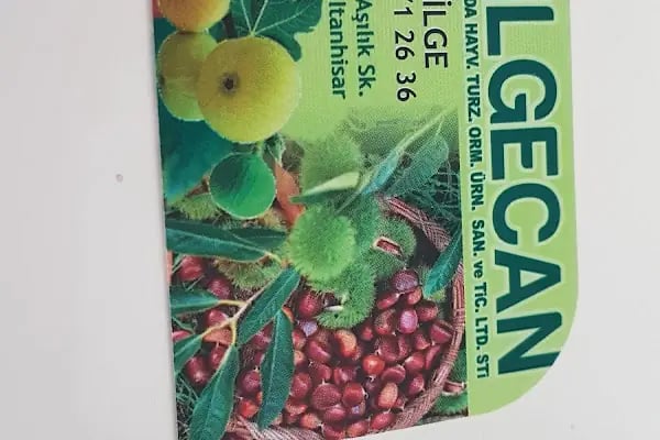 BilgeCan Tarım Ürünleri - Resim 9