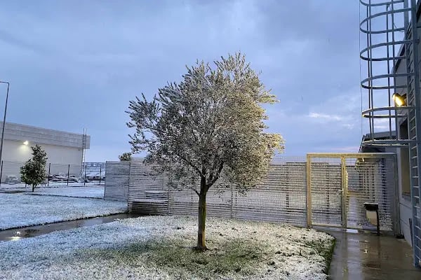 Ticaret Bakanlığı Görev Köpeği Barınak Kompleksi - Resim 4