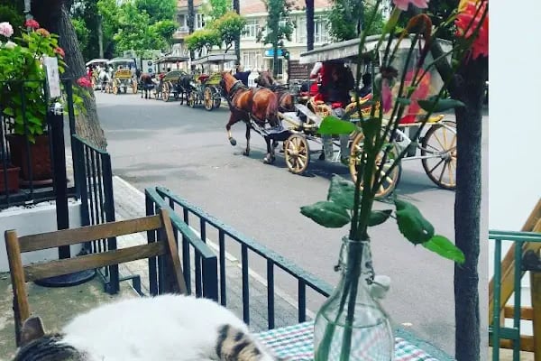 Adalar Kültür Derneği - Resim 13