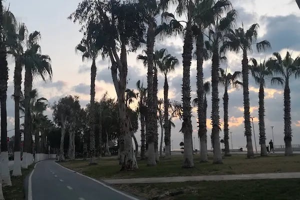 Mersin Bisikletli Gezginler Derneği - Resim 6