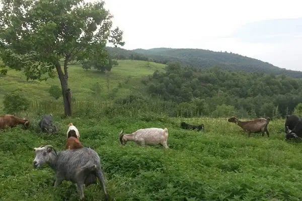 ASİL ÇELİK SAN. VE TİC. A.Ş. - Resim 4