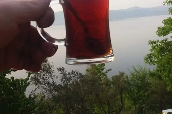 ASİL ÇELİK SAN. VE TİC. A.Ş. - Resim 3