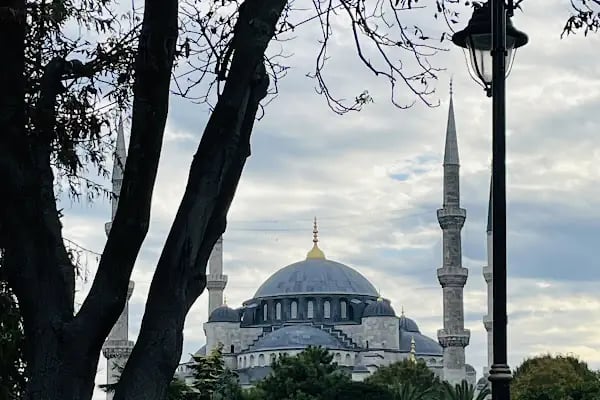 Sağlık Bilimleri Üniversitesi Fatih Sultan Mehmet Eğitim Ve Araştırma Hastanesi - Resim 18
