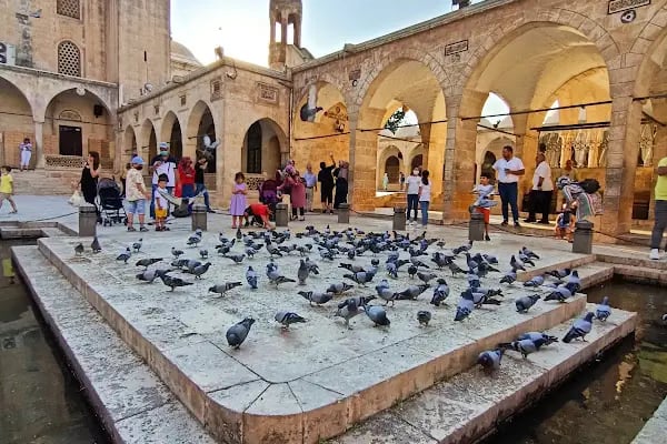 Hasan Padişah Camii - Resim 12