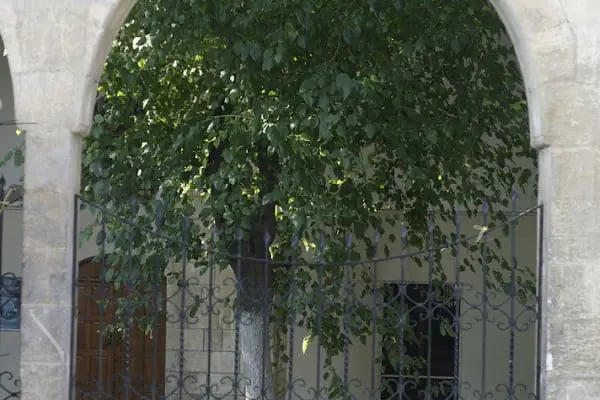 Hasan Padişah Camii - Resim 18