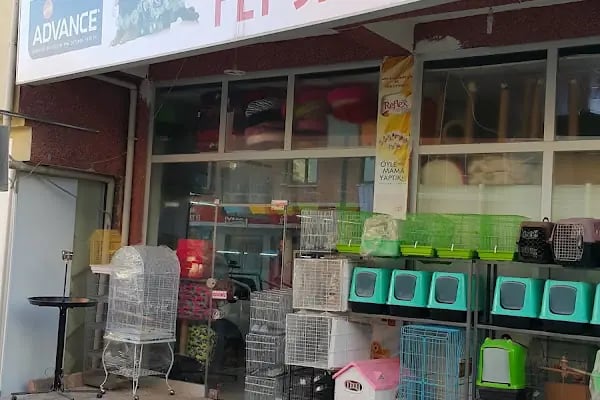 Anka Pet Shop - Resim 12
