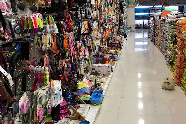 Anka Pet Shop - Resim 6