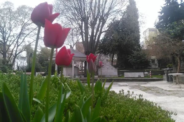 Alibeyköy Spor Kompleksi - Resim 15