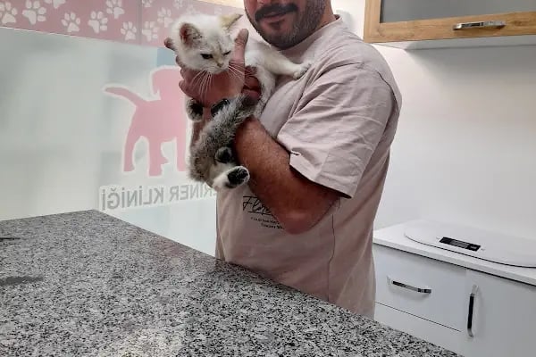 Çerkezköy Empati Veteriner Kliniği - Resim 10