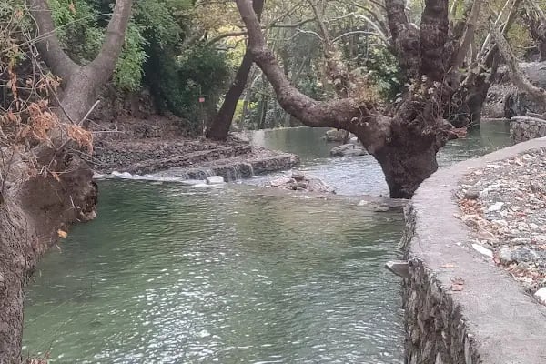 Balkes Cafe / Çakıcının Yeri - Resim 2
