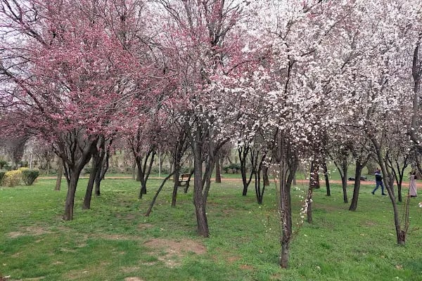 30 Ağustos Zafer Parkı - Resim 10