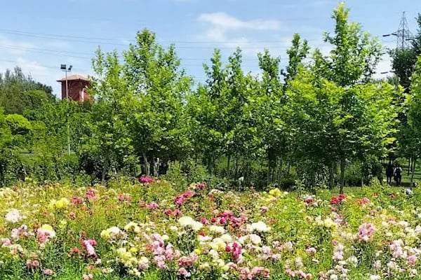 30 Ağustos Zafer Parkı - Resim 15
