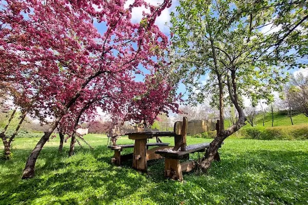 30 Ağustos Zafer Parkı - Resim 12