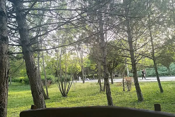 30 Ağustos Zafer Parkı - Resim 18