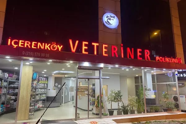İçerenköy Veteriner Polikliniği - Resim 1