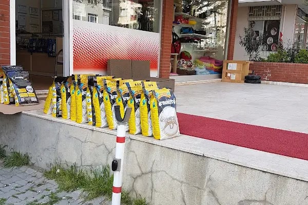İçerenköy Veteriner Polikliniği - Resim 6